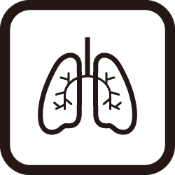 肺 Kuma Icon
